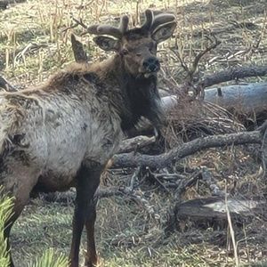 Meet your Posher, Kellie